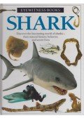 Mirinda Macquitty - Shark