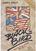 Király Zsolt - Blackbird - angol nyelvvizsga-előkészítő tanfolyam
