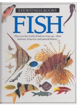 Steve Parker - Fish Steve Parker - Fish, New York 1990 antikvár könyv