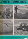 Kállay Kornél - A rizs és termesztése