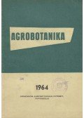 Dr. Mándy György (szerk.) - Agrobotanika VI. kötet