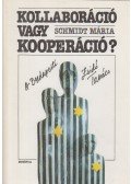 Schmidt Mária - Kollaboráció vagy kooperáció?