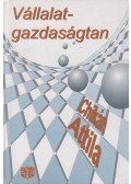 Chikán Attila - Vállalatgazdaságtan
