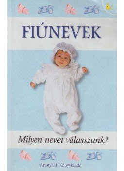 Pálfy Gyula - Fiúnevek Pálfy Gyula - Fiúnevek, Budapest 2002 antikvár könyv