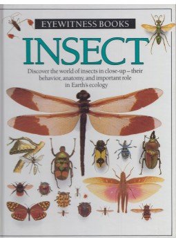 Laurence Mound - Insect Laurence Mound - Insect, New York 1990 antikvár könyv