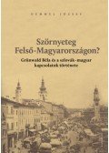 Demmel József - Szörnyeteg Felső-Magyarországon? - Grünwald Béla és a szlovák-magyar kapcsolatok története