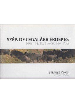 Strausz János - Szép, de legalább érdekes / Pretty, but Fascinating Strausz János - Szép, de legalább érdekes / Pretty, but Fascinating, Budapest 2011 antikvár könyv
