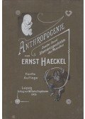 Haeckel, Ernst - Stammesgeschichte des Menschen