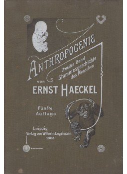 Haeckel, Ernst - Stammesgeschichte des Menschen, Leipzig 1903 antikvár könyv