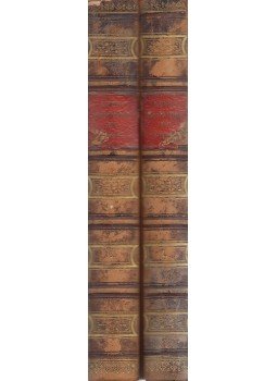 Wilhelm Lübke - Geschichte der Plastik I-II., Leipzig 1871 antikvár könyv