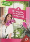 Dr. Váczi Imréné,Nagy Árpád,Horváthné Dr. Baracsi Éva - Broméliák, orchideák, pozsgások