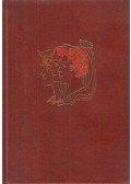 Daphne du Maurier - Drie vrouwenportretten
