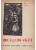 Illyés Gyula - Honfoglalók között
