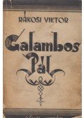 Rákosi Viktor - Galambos Pál naplója / Jobbadán Amerikában