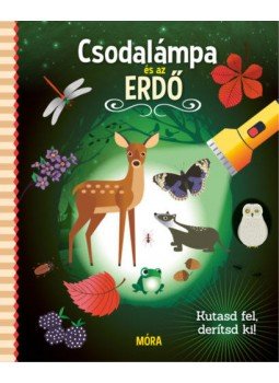  - Csodalámpa és az erdő - Kutasd fel, derítsd ki!, null 2021 antikvár könyv