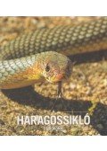 Babocsay Gergely,Korsós Zoltán - A ​haragossikló és rokonai