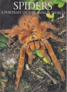 Paul Sterry - Spiders: A Portrait of the Animal World, New York 0 antikvár könyv