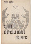 Péch Antal - Selmeci bányavállalatok története II/1.