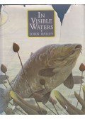 John Bailey - In Visible Waters Bailey