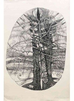 Csorba Simon - Link, 1989