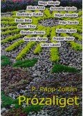 P. Papp Zoltán - Prózaliget (dedikált)