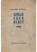 Illyés Gyula - Szálló egek alatt