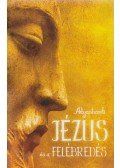 Adyashanti - Jézus és a felébredés