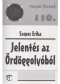 Szepes Erika - Jelentés az ördöggolyóból