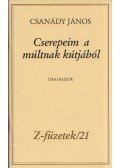 Csanády János - Cserepeim a múltnak kútjából