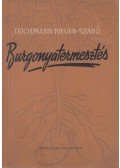 Teichmann Vilmos,Rieger Béla,Dohy János,Szabó Imre - Burgonyatermesztés
