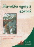 Bodrogi Huszár Katalin (szerk.) - Havakba égetett szavak