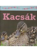 Christina Wilsdon - Kacsák