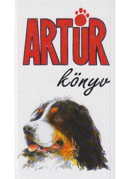 Szücs Gábor - Artúrkönyv, Budapest 2004 antikvár könyv