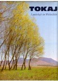  Szelényi Károly,Lázár István - Tokaj - Landschaft im Wechsellicht