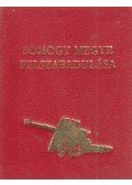 Godó Ágnes - Somogy megye felszabadulása (mini)