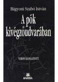 Bágyoni Szabó István - A pók kivégzőudvarában (dedikált)