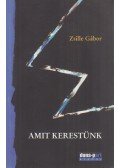 Zsille Gábor - Amit kerestünk (dedikált)