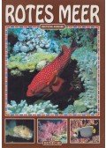Andrea Ghisotti - Rotes Meer
