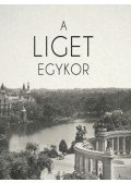 Brunner Attila (Szerk.), Perczel Olivér (Szerk.) - A Liget egykor