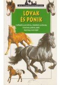 Gilles Delaborde - Lovak és pónik