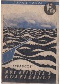 Toudouze, G. - Aki ellopta a Golf-áramot
