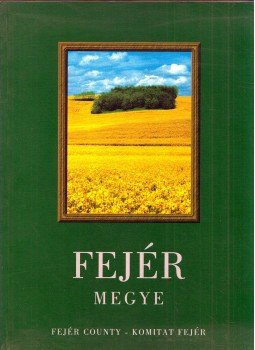 Fülöp Gyula - Fejér megye Fülöp Gyula - Fejér megye, Székesfehérvár 2000 antikvár könyv