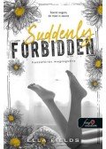 Ella Fields - Suddenly Forbidden - Hozzáférés megtagadva - Gray Springs Egyetem 1.