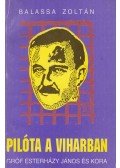 Balassa Zoltán - Pilóta a viharban