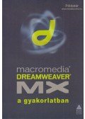 Benkő László,Lehel György,Schuck Béla,Sziklai János - Dreamweaver MX a gyakorlatban