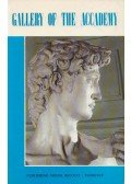 Roberto Bartolini - Gallery of the Accademy and David's Tribune