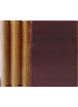 Maine, Henry James Sumner, Carrara, Francesco - A büntetőjog elmélete és gyakorata fejlesztéséért, Budapest 1875 antikvár könyv