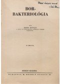 Soós István - Bor-bakteriológia (Dedikált)