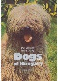 Sárkány Pál,Ócsag Imre - Dogs of Hungary