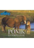 Bagoly Ilona,Horváthné Czentye Ibolya - Pónik és törpelovak